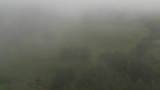 Clouds Trees Misty Landscape Flying Thick Fog Clouds Seeing Earth — Video Stock