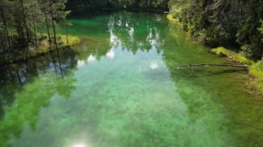 Aerial over the turquoise green blue lake with transparent mineral water. Transparent water surrounded by scenic green pine trees. Cinematic wild nature aerial, untouched nature on sunny summer day.