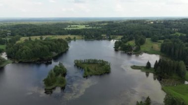 Swedish archipelago in aerial drone shot flying over forest and islands. Silhouette islands in the archipelago, Aerial view from the Swedish archipelago. Trees and green woods on warm summer evening.