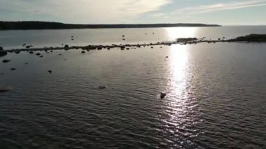 Uzun ve kumlu bir tükürüğün üzerinden uçan bir İHA 'dan ateş etmek. Kum tükürüğü ve turkuaz su. Baltık Denizi. Kumlu kumsalın hava gün batımı manzarası, Curonian tükürüğünün geniş manzaralı güzel hava aracı.. 
