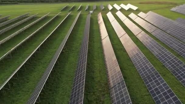 緑のエネルギー分野で生態系の太陽光発電所パネル 何百もの太陽エネルギーパネルが並んでいます 日没時の生態電力をきれいにする 再生可能エネルギーの概念の生産 高品質 — ストック動画