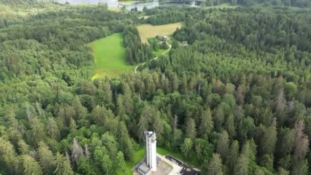 High Panorama Observation Tower Forest Landscape Tourist Attraction Overlooking Green — Stockvideo