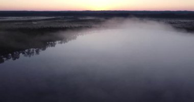 Epic Top Down Aerial View of Big Lake With Clear Blue Water. Magical Fog to Horizon. Drone Flight Over Crowns of Trees Towards Sun in Evening Sunset. Sunrise in Misty Countryside. Bog, Swamp. Finland.