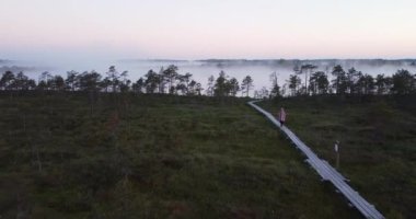 Woman with Blanket Walking Through Meadow Bog Towards Foggy Misty Landscape And Glowing Sunrise. Sun shining through trees with sunbeams through woods in mystical bog swamp landscape. Estonia Finland