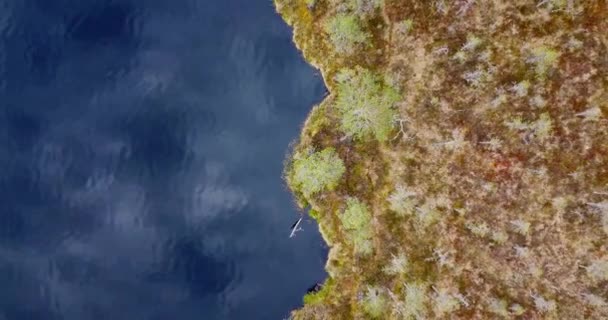 Top View Aerial Flight Small Lake Fog Pond Surrounded Trees — Video Stock