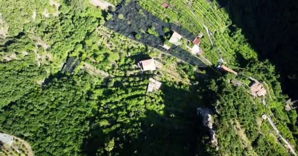 从空中俯冲下来的无人驾驶飞机在蜿蜒的山路和房屋上空盘旋 海滩生活景观 高山村 山顶上的白色度假别墅 假期和旅行 旅行旅行 — 图库视频影像
