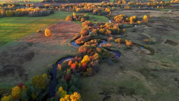 Epic Aerial Flight Mist Forrest Sunset Beautiful Fall Season Forrest — Vídeo de Stock