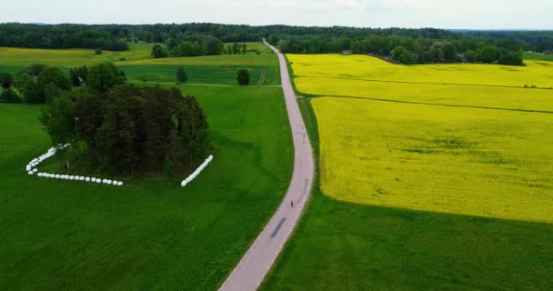 Aerial Drone Shot Cyclists Ride Beautiful Epic Yellow Rapeseed Field — Stok video