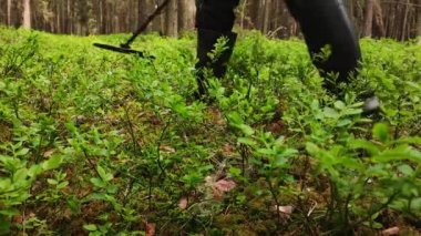 A man with metal detector walks with raincoat past. Slowly looking and finding a treasure. Treasure hunter. Man with metal detector is moving from side to side. Green forest. High quality 4k footage