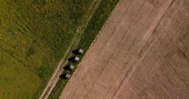 Aerial footage of a hayfield, wheat field. Summer Spring Agricultural Green Field. Green spring. Green wheat field. Wind Waving Young Green Ears Field. Sunset landscape. High quality FullHD footage