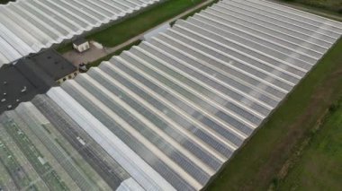 Industrial greenhouses aerial view. Flying Over Large Greenhouse, Modern High-tech Greenhouse View From Above. Glass Greenhouses for Growing Vegetables. Vegetable cultivation, agriculture industry.