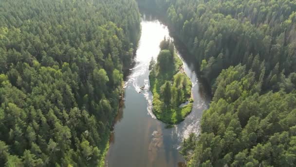 Aerial Drone Shot Forests River Valley Sunset Sigulda Gauja National — Stok video