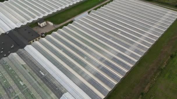 工業用温室空撮 大規模な温室 近代的なハイテク温室の上からの眺めを飛ぶ 野菜栽培のためのガラス温室 野菜栽培 — ストック動画