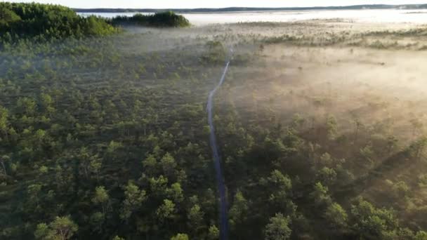 霧の中で神秘的な古い木製の歩道道路 沼の中の木道を歩く 日の出の光線を介して 日霧の中で輝いて輝く ミスティ カントリーサイドの日の出 魔法の霧 Horizon — ストック動画