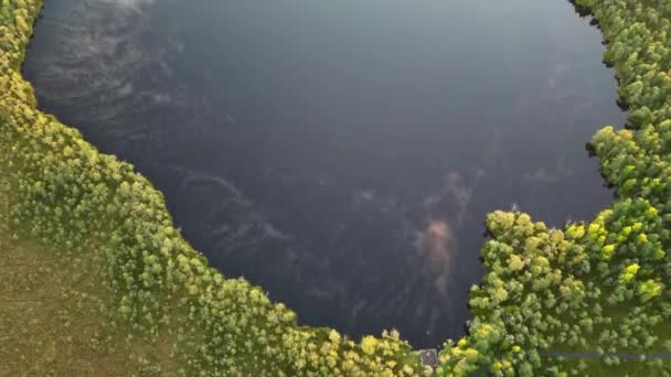Вид Зверху Повітряний Політ Над Невеликим Озером Туманом Ставок Оточений — стокове відео