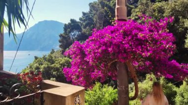 Young beautiful woman in white dress walking in nature, Purple Blue Flowering Trees On The Amalfi Coast, Positano. Free woman between Beautiful purple flowers trees. Pretty girl using hand touching.