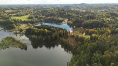 Zengin yeşil ağaçlar, atmosferik kuşlar zengin, yeşil bir ormanın manzarası. İHA atışı ağaç tepeleri ve göl üzerinde uçuyor. Büyük vahşi doğada çam ağaçları ve köknar. Vahşi yaşamı ve doğanın geniş görüntülerini kavra.