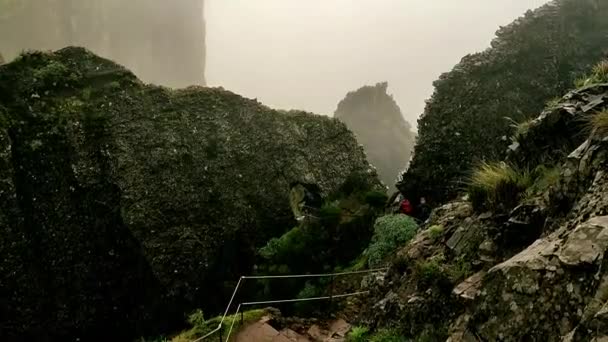 Woman Hiker Climbs Foggy Stairs Young Fit Woman Walking Trail — Stock video