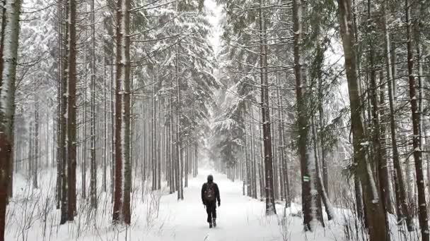 Wędrowiec Wspinający Się Lesie Duże Opady Śniegu Duże Płatki Śniegu — Wideo stockowe