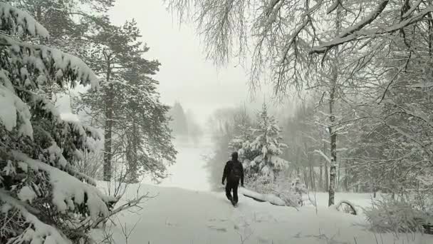 Pěší Turistka Šplhá Zasněženém Kopci Silné Sněžení Velké Vločky Sněhu — Stock video