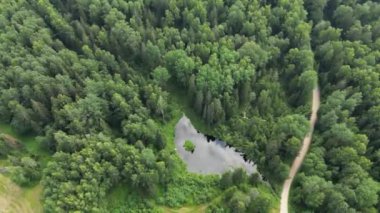 Turquoise water and autumnal green landscape forest. Autumnal view of green, orange and red trees. Tree tops in sunshine. Aerial view of blue lake and green forests. Colorful fall trees. 4k footage