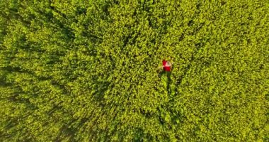 Romantic, dreamy and inspiring wanderlust drone aerial view of young woman in flowing beautiful red dress. Top down shooting with drone in motion from air. Luxury flying silk satin red dress blonde. 