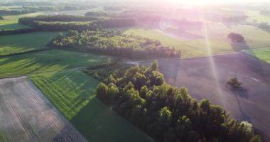 Aerial footage of a hayfield, wheat field. Summer Spring Agricultural Green Field. Green spring. Green wheat field. Wind Waving Young Green Ears Field. Sunset landscape.