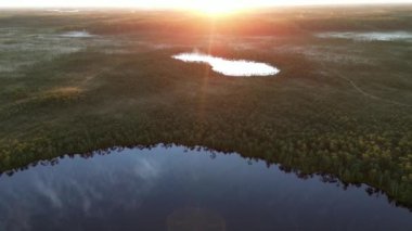 Fog morning over the plain lake floodplain of the meadow. Sunrise rays shining through branches in summer morning. Sunrise in the misty forest. Calmness, relaxation, meditation, beauty of nature.