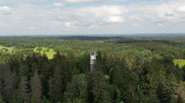 Famous observation tower landmark in deep forest. Tourist observation tower in the summer forest. Green forest, lake and a misty fog in the background. High panorama observation tower. High quality