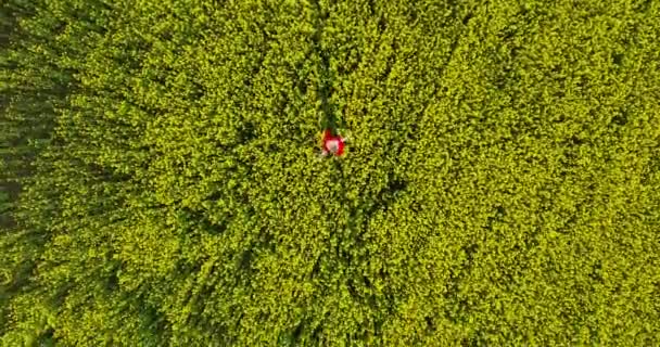 Romantic Dreamy Inspiring Wanderlust Drone Aerial View Young Woman Flowing — Stok Video