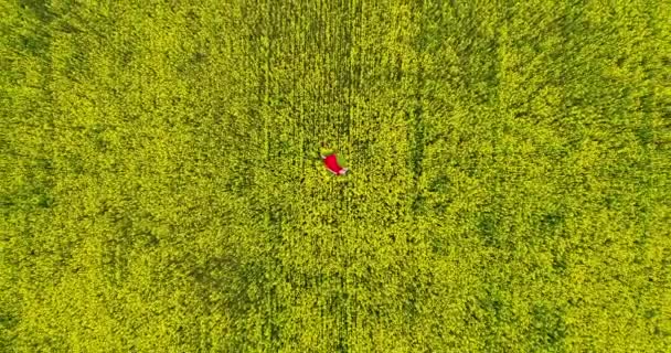 Romantic Dreamy Inspiring Wanderlust Drone Aerial View Young Woman Flowing — Vídeos de Stock
