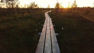 Mystical old wooden trail road in the fog. Walking along a wooden pathway in a bog swamp. Sunrise rays shining through, Sun shining through fog mist. Sunrise in Misty Countryside. Magical Fog Horizon.