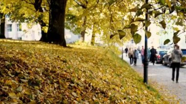 Blurred defocused view of People Walking on City Street on a Autumn morning. Yellow leaf. Blur of people walk in the street with sunshine. City urban image with unfocused people walking, sunny day.