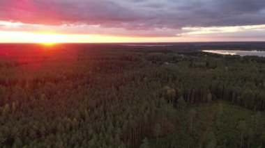 Sunrise rays shining through, Aerial drone view of sunrise over misty landscape. Sun shining through fog mist. Sunrise in Misty Countryside. Magical Fog to Horizon. Calmness, relaxation, meditation. 