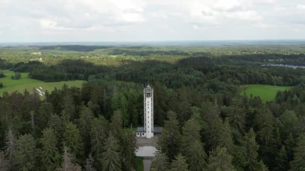 Famous Observation Tower Landmark Deep Forest Tourist Observation Tower Summer — ストック動画