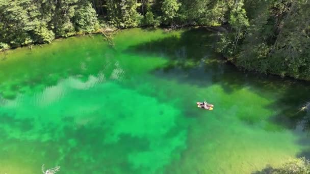 水を通して緑の青のトップダウンビュー 映画をクリア鮮やかな青 緑の水の湖 自然と素晴らしいターコイズ色 太陽の反射と緑の森 美しい景色のトップダウン — ストック動画