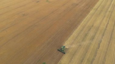 Harvester machine working in wheat field, agricultural machines working in farmland during harvesting golden ripe wheat field. season of gathering crops, 4k, harvests grain in the sunset. High 4k