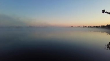 Time lapse hyper lapse view through bog trees during sunrise. Early summer morning with sunrise and birch trees. Sun shining through trees with sunbeams through woods in mystical bog swamp landscape.