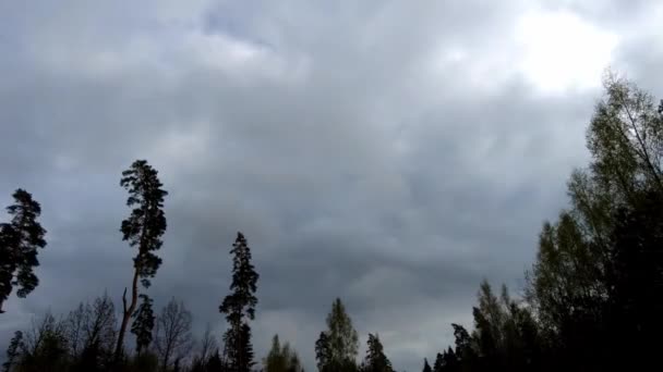 Céu Azul Nuvens Brancas Lapso Tempo Hiper Lapso Vista Verão — Vídeo de Stock
