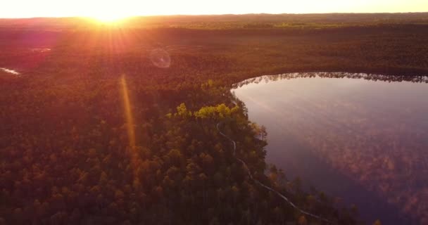 Schöne Aussicht Durch Moorbäume Bei Sonnenaufgang Frühsommermorgen Mit Sonnenaufgang Und — Stockvideo