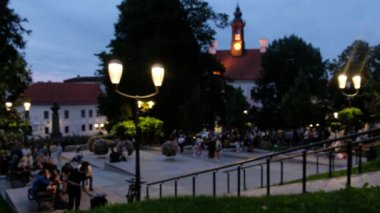  People sitting on the green grass and having a good time. People cheering with drinks at outdoor picnic party. Concept of friendship and people meeting new friends. Summer evening. Twilight hour. 