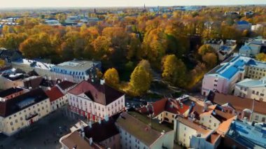 Aerial view of autumn trees in city and roofs of buildings. Colorful autumn trees during sunset, View of Tartu University, Estonia. Forest leaves changing color in Autumn. Tartu University hall.