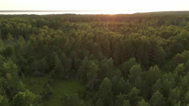 Drone Flying Green Jungle Forest Coast Sunset Light Shining Ocean — Wideo stockowe