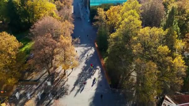Repüljön Színes Fák Felett Parkban Széles Egyenes Belvárosi Épületek Között — Stock videók