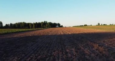 Wheat agriculture harvesting agribusiness concept, View of ripening wheat field at summer day. Large harvest of wheat in summer on the field landscape lifestyle. Drone flies over yellow wheat field.