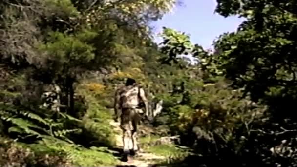 レトロVhsビデオ ヴィンテージVhs Betacamからスキャンします レトロカメラ8ミリメートル 古い映画だ 思い出だ レトロVhsテープエフェクトホームビデオコンセプト 森の中をハイキング ハイキング山 ドイツ — ストック動画