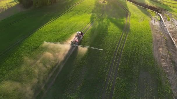Maszyny Kombajnowe Pracujące Polu Pszenicy Ciągniki Pracują Sezonie Zbiorów Kukurydzy — Wideo stockowe