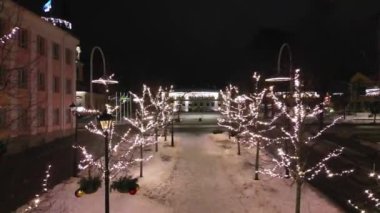 Estonya, Tallinn 'deki pazar yerinde Noel pazarı. Noel alışverişi ve Noel pazarında yürüyen siluetler. Eski kasaba meydanı, Noel süsü, karanlık bayram gecesi..
