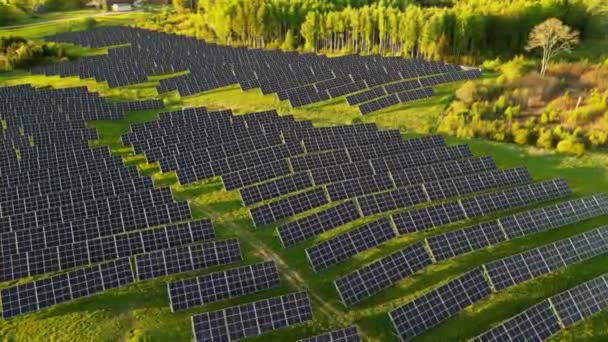 Blaue Photovoltaik Sonnenkollektoren Auf Den Feldern Grüne Energie Bei Sonnenuntergang — Stockvideo