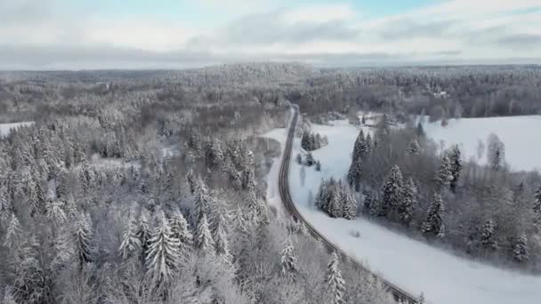 Paese Delle Meraviglie Invernali Nella Foresta Innevata Sole Splendente Volare — Video Stock